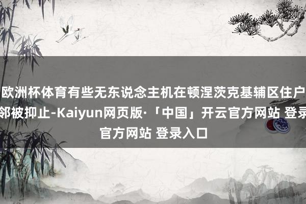 欧洲杯体育有些无东说念主机在顿涅茨克基辅区住户区隔邻被抑止-Kaiyun网页版·「中国」开云官方网站 登录入口