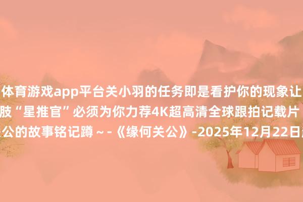 体育游戏app平台关小羽的任务即是看护你的现象让你“关关痛心关关过”！四肢“星推官”必须为你力荐4K超高清全球跟拍记载片《缘何关公》念念看关公的故事铭记蹲～-《缘何关公》-2025年12月22日起山西卫视首播中央播送电视总台CGTN中国网DiscoverChina“探索中国”新西兰channel33汉文电视台腾讯、优酷、爱奇艺、哔哩哔哩聚合播出审核：邓琳监制：杨刚-Kaiyun网页版·「中国」开云官方网站 登录入口